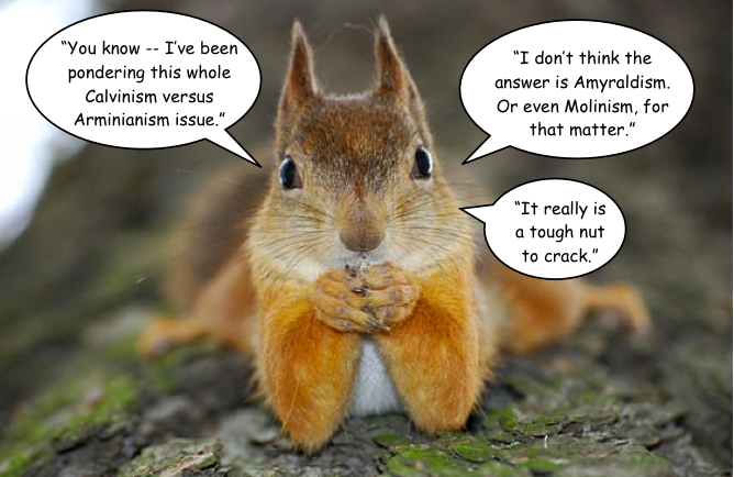 What Animals Are Thinking #30 (scroll down) |